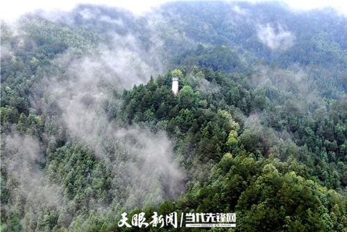 “绿色颜值”变“富民价值”｜看贵州如何念好靠山吃山的“山字经”