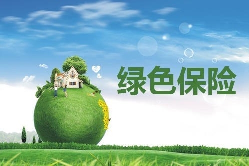 绿色保险如何服务好新发展格局