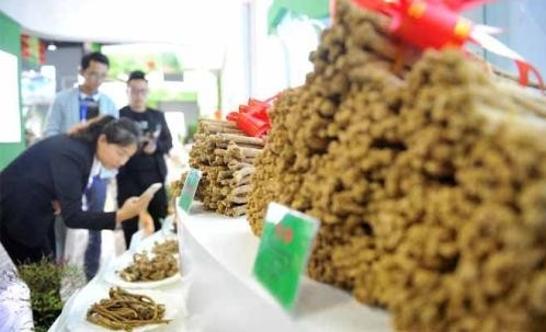  国务院办公厅印发《关于加快中医药特色发展的若干政策措施》