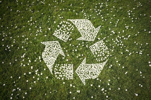 坚持绿色发展 激发转型升级新动能