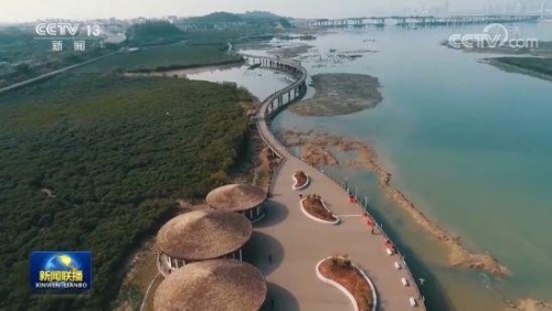 倡导文明生活方式 过个绿色健康年