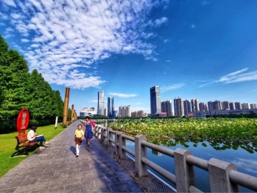 洛阳：河洛大地上，绿色已成为最亮底色！