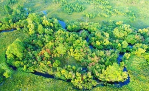 干得漂亮！中国一个行动为全球做出贡献，科研员：还是低估了