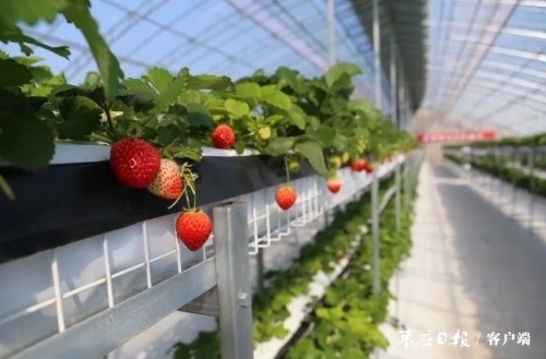 这处绿色主题公园为村民带来绿色希望