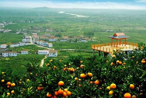 绿色信贷润西峡——西峡农商行打造“果药菌”产业链金融