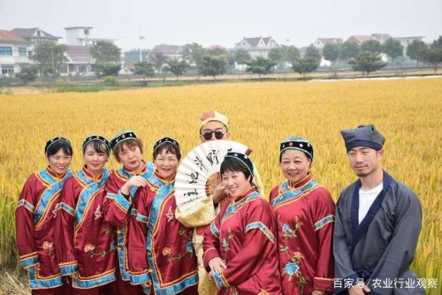 中国农业新模式：农业+体育模式颠覆农业，但必须要有这3个认知