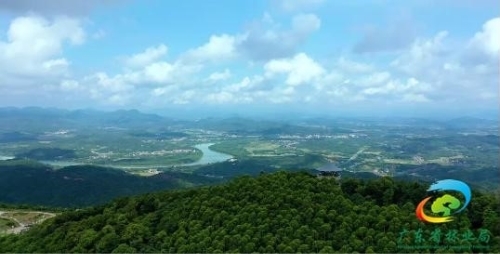 「广州」加快推进林长制！增城谱写绿色发展新篇章