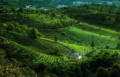 「开启新征程」夯实绿色本底 为幸福再增色