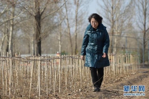 全国人大代表郭艳玲：推广新技术 促进农牧业绿色发展