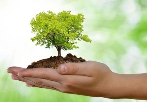 降碳成“十四五”热词 七省提出率先、提前实现碳达峰