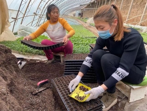 宁夏中卫市启动新一轮宁夏中卫国家农业科技园区建设