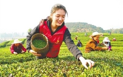 激发乡村振兴澎湃动能（深度关注）