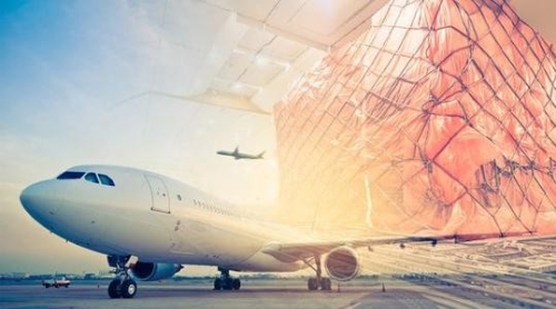 航空业加快数字化转型（经济透视）