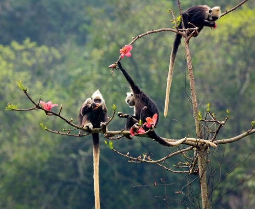 绿色发展之绿水青山就是金山银山（组图）