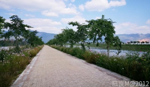 陆良：算好“绿色账”走好“绿色路”打好“绿色牌”