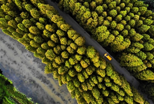 绿色发展，需要精准科学系统性可持续性，更要平衡好“真金白银”和“诗与远方”