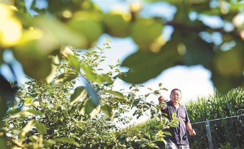 让全面推进乡村振兴 更有“底气”