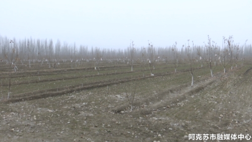 【乡村振兴】天然、绿色、健康……