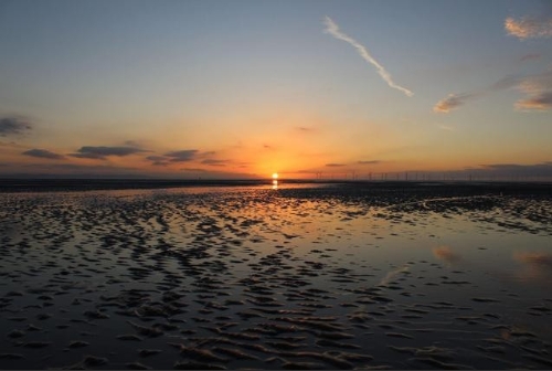 「两会声音」全国人大代表银燕：实现碳中和需构建能源互联“一张网”