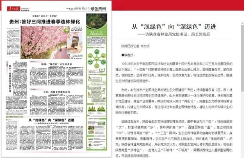 从“浅绿色”向“深绿色”迈进