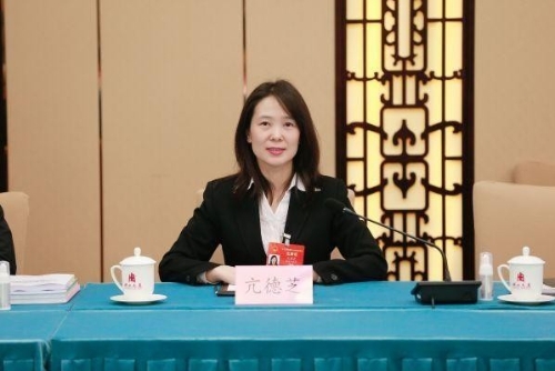 全国人大代表亢德芝：乡村振兴与生态保护要推行全域综合整治