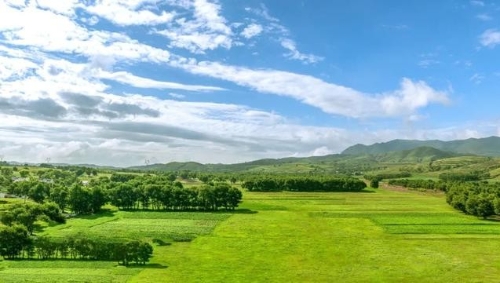 让“绿色”成为高质量发展的“底色”丨时评