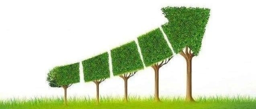 两会快评丨“降低3%”彰显绿色发展决心