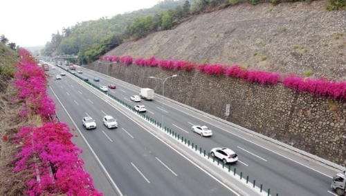 美景伴出行 北环高速沿线打造绿色生态长廊