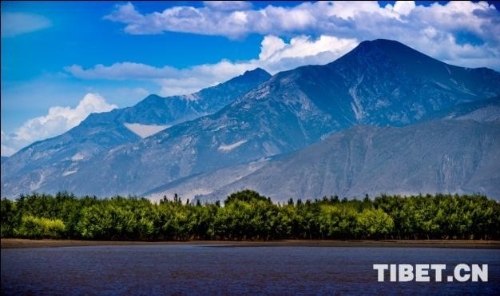 “碳达峰”“碳中和”，环保话题为何备受外媒关注？