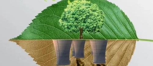 两会观察｜城市面临低碳大考，代表委员怎么看？