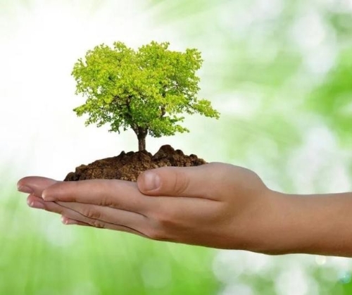 全国碳交易市场按下快进键 水泥、电解铝行业或优先纳入