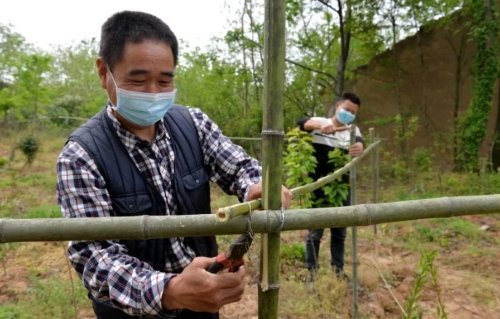 建“绿色银行”，过幸福生活！