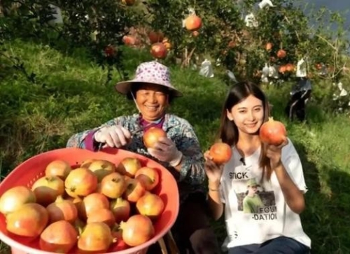 产业链“活起来” 乡村经济“火起来”