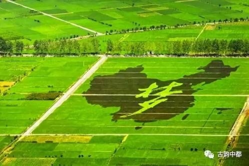 乡村振兴 科技创新可以“四两拨千斤”