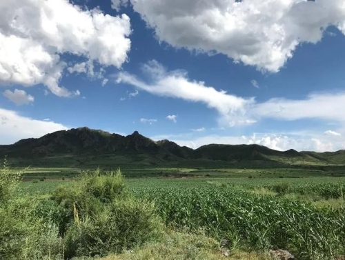 绿色脱贫｜生态保护修复 助力乡村振兴