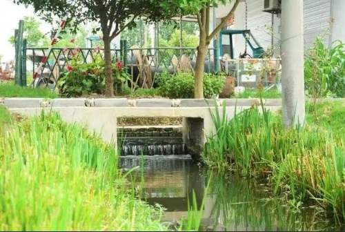 持续发力农村生活污水治理构建生态修复新格局