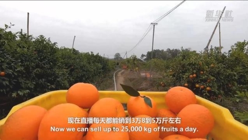 习近平时间｜电商，推动乡村振兴大有可为