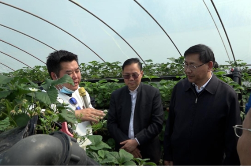 精准发力乡村“五态”融合 华西生态智库探索“乡村振兴综合体”