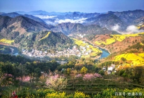 乡村振兴做好“四个不能”，才能尽显其能！