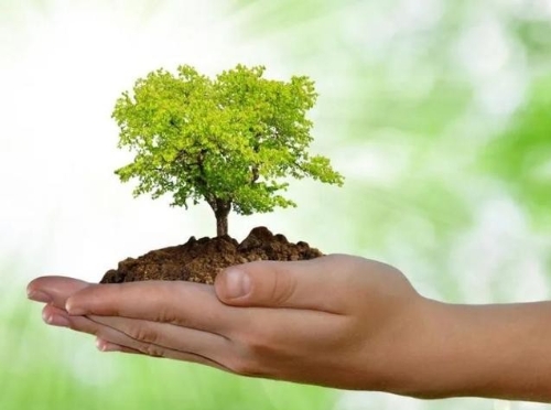 生态优先、绿色发展 擦亮美丽中国底色（人民网）