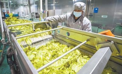 绿色消费多起来（消费视窗）