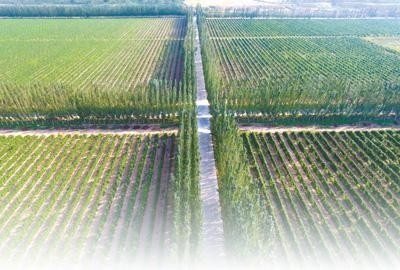 山海协作地 美丽新乡村（会后探落实·生态优先、绿色发展）