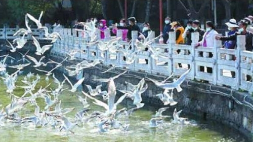 坚定不移走绿色发展道路