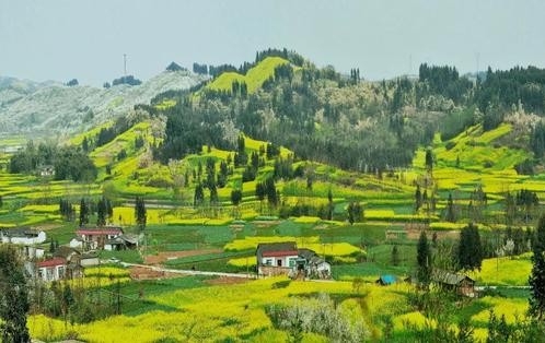 全力做好“十四五”开局之年财政支农工作 助力乡村全面振兴和农业农村现代化