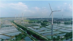 风机长在田埂上！中国船舶集团勾勒乡村绿色经济新图景