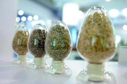 这次普查，将摸清全国农业种质资源家底