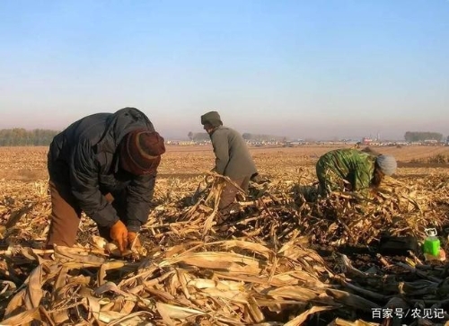 2021年农耕陆续开展，4项