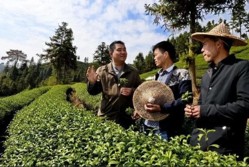 习近平点赞“科特派”