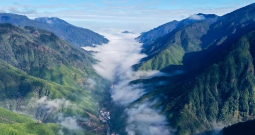 卫星告诉你，“中国最绿”省份的“绿”是怎么来的