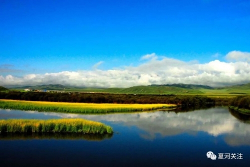 【五无甘南 美丽夏河】夏河：聚焦绿色发展 推动生态改善（四十）